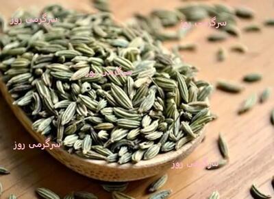 گیاهی برای همه دردهای زنانه! معجزه رازیانه برای زنان: درمانی طبیعی برای رحم، قاعدگی و یائسگی