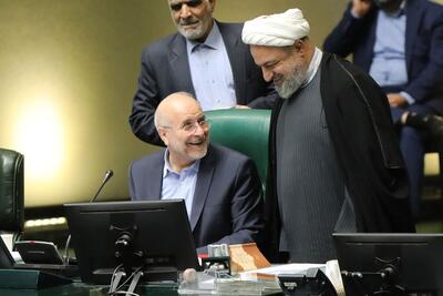 رسایی در صحن علنی مجلس: فرزندان عارف و مدنی زاده دو تابعیتی هستند + پاسخ رئیس مجلس