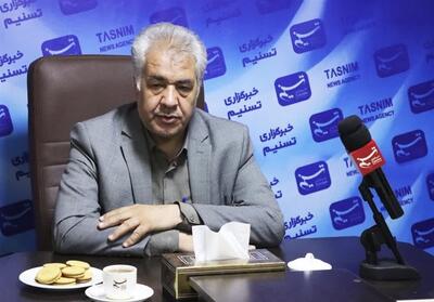 50درصد از دیم‌زاهای استان مرکزی به علت کمبود آب از بین رفتند - تسنیم