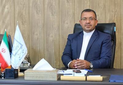 70 درصد شاغلان صنایع دستی بانوان هستند - تسنیم