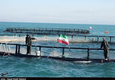 بندر دیر؛ قطب طرح‌های شیلات استان بوشهر - تسنیم