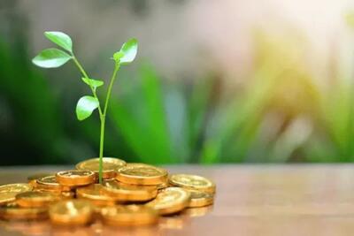 رُبع سال  سرمایه گذاری برای تولید  چگونه گذشت؟