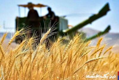 اصلاح قیمت خرید تضمینی گندم خواسته به حق کشاورزان است / وقتی از کشاورز حمایت نمی‌کنیم برای واردکنندگان رانت فراهم می‌شود