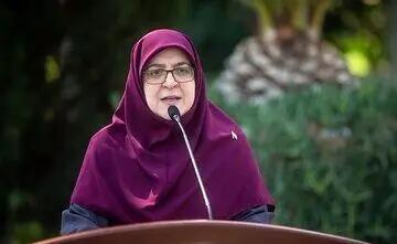 مهاجرانی: حجم اطلاعات به دست آمده از اسرائیل بسیار گسترده است
