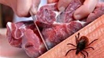 هشدار دامپزشکی خراسان جنوبی برای تب خونریزی دهنده کریمه کنگو