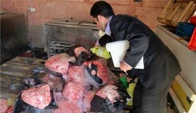 معدوم‌سازی بیش از ۸۰۰ کیلوگرم گوشت فاسد در زاهدان