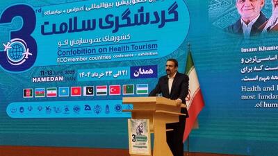مشاور رییس جمهور: سهم گردشگری از درآمدهای کشور کافی نیست