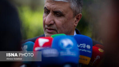 رئیس سازمان انرژی اتمی: ایران هیچگونه رفتار غیرقانونی و غیرحقوقی را نمی‌پذیرد