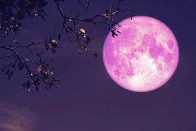 همه چیز درباره ماه توت فرنگی