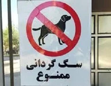 برخورد با سگ‌گردانی در اماکن و معابر عمومی زرند