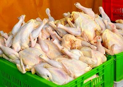 مرغ و تخم مرغ در بازار امروز 21 خرداد، چند؟