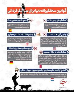 اینفوگرافی/ قوانین سختگیرانه کشور‌های مختلف برای سگ‌گردانی | اقتصاد24