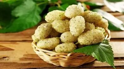 این میوه جادویی شما را از افسردگی دور می‌کند!