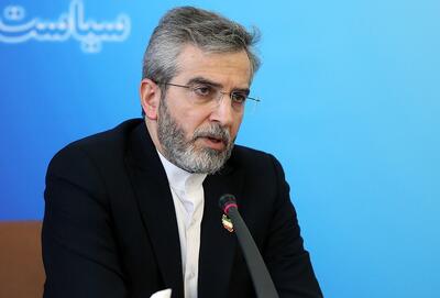 باقری‌کنی، معاون وزیر خارجه در دولت سیزدهم: استقلال در سیاست خارجی بدون برخورداری از قدرت، ممکن نیست / اکنون بین ایران و اروپا یک مناسبات غیرمنطقی حاکم است