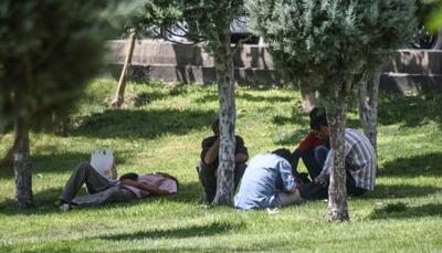 حذف معتادان متجاهر و کارتن خواب‌ها از بوستان‌های تهران