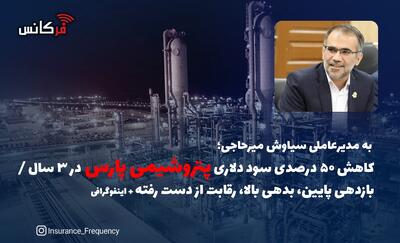 به مدیرعاملی سیاوش میرحاجی؛ کاهش ۵۰ درصدی سود دلاری پتروشیمی پارس در ۳ سال / بازدهی پایین، بدهی بالا، رقابت از دست رفته + اینفوگرافی