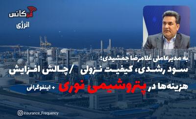 به مدیرعاملی غلامرضا جمشیدی؛ سود رشدی، کیفیت نزولی / چالش افزایش هزینه‌ها در پتروشیمی نوری