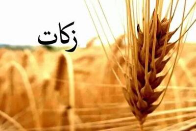 کشاورزان گلستان پیشتاز پرداخت زکات؛ امسال ۲۰۰ میلیارد تومان در راه است
