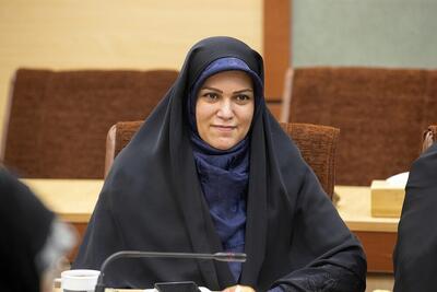خدادادی: فضای مجلس نسبت به «مدنی‌زاده» مثبت است
