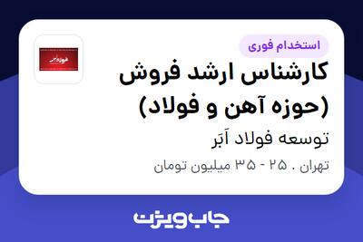 استخدام کارشناس ارشد فروش (حوزه آهن و فولاد) در توسعه فولاد اَبَر