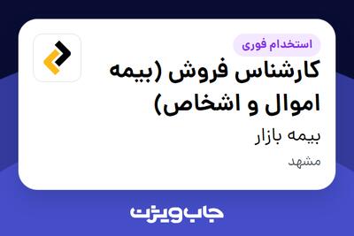 استخدام کارشناس فروش (بیمه اموال و اشخاص) در بیمه بازار