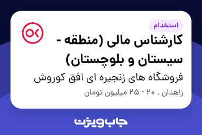 استخدام کارشناس مالی (منطقه - سیستان و بلوچستان) - آقا در فروشگاه های زنجیره ای افق کوروش