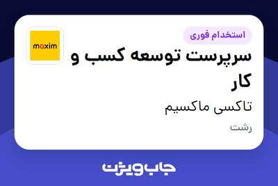 استخدام سرپرست توسعه کسب و کار در تاکسی ماکسیم