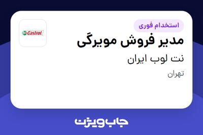 استخدام مدیر فروش مویرگی در نت لوب ایران