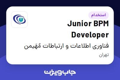 استخدام Junior BPM Developer در فناوری اطلاعات و ارتباطات مُهَیمن