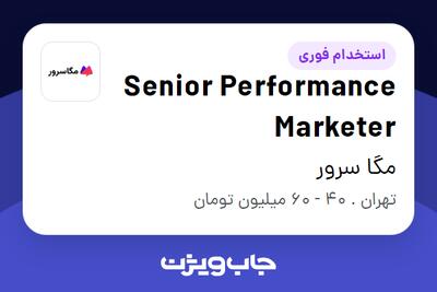 استخدام Senior Performance Marketer در مگا سرور