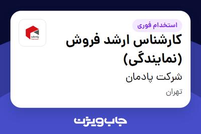 استخدام کارشناس ارشد فروش (نمایندگی) در شرکت پادمان