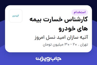استخدام کارشناس خسارت بیمه های خودرو در آتیه سازان امید نسل امروز