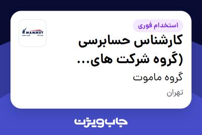 استخدام کارشناس حسابرسی (گروه شرکت های  ماموت) در گروه ماموت