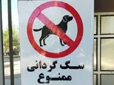 برخورد با سگ گردانی در اماکن و معابر عمومی زرند