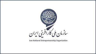 بازرس جدید سازمان ملی کارآفرینی ایران انتخاب شد