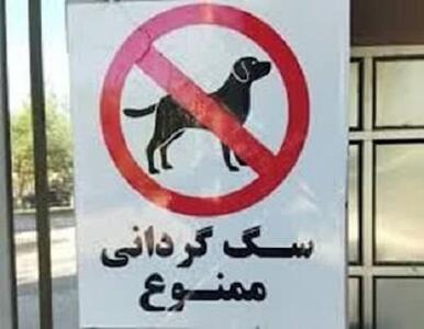 برخورد با سگ‌گردانی در اماکن و معابر عمومی زرند