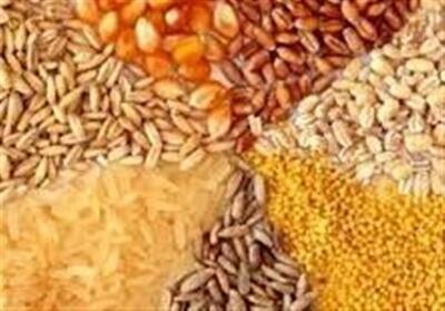 موافقت کمیسیون کشاورزی مجلس با تفحص ازواردات نهاده‌های دامی - تسنیم