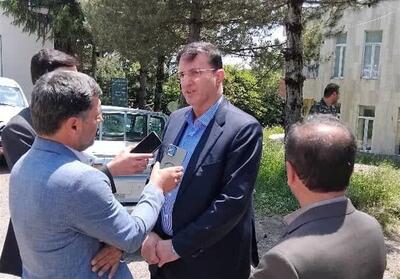 تولید و کاشت 400 میلیون اصله نهال در 2 سال گذشته - تسنیم
