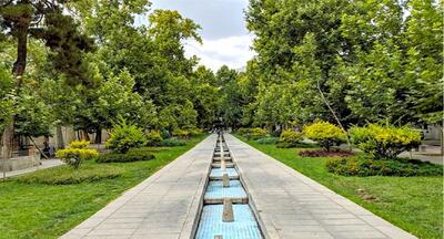 برخی از درختان کهنسال محوطه باغ فردوس تهران در آستانه خشکسالی