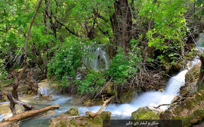 نمایی از طبیعتِ زیبای لرستان