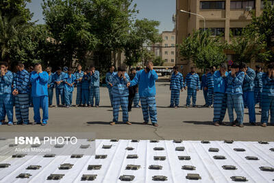 تاکید معاون دادگستری استان بر شناسایی خریداران اموال مسروقه