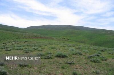 ۹۰ درصد مراتع سیستان و بلوچستان بدون طرح بهره‌برداری و حفاظت!