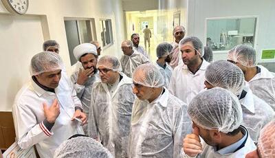 بازدید اعضای کمیسیون اقتصادی مجلس از واحد تولیدی دارو در تبریز