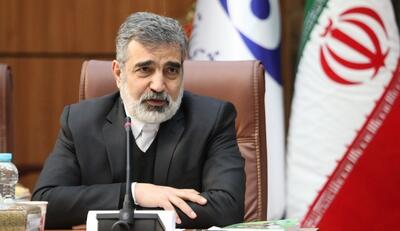 کمالوندی: غنی سازی را به طور چشمگیری افزایش می دهیم