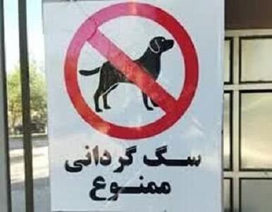 دادستان زرند: برخورد با سگ‌گردانی در اماکن و معابر عمومی زرند