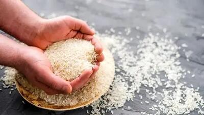 افزایش دیوانه‌وار قیمت برنج ایرانی؛ گران‌تر از همیشه!