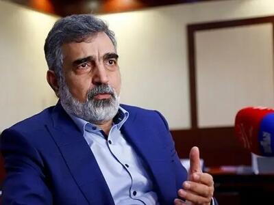 کمالوندی: ایران برای همکاری با آژانس بین‌المللی انرژی اتمی تجدید نظر می‌کند