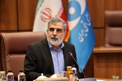 کمالوندی: مجتمع سوم غنی‌سازی را راه‌اندازی خواهیم کرد