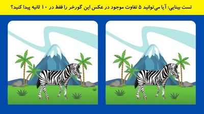 تست بینایی: آیا می‌توانید ۵ تفاوت موجود در عکس این گورخر را فقط در ۱0 ثانیه پیدا کنید؟