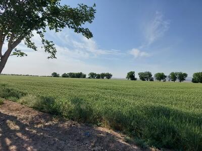 دغدغه‌های سرمایه‌گذاران بخش کشاورزی را در تأمین زمین برطرف می‌کنیم